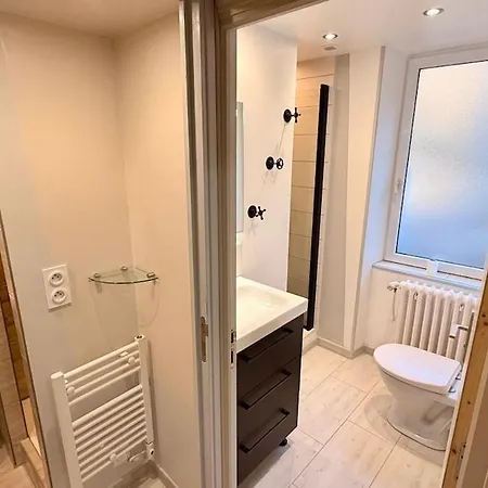 Les Soldanelles Dore 10 A 12 Personnes Apartament