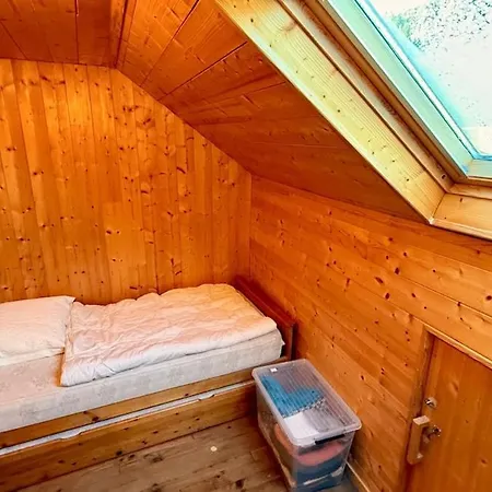 Les Soldanelles Dore 10 A 12 Personnes Apartament Mont-Dore